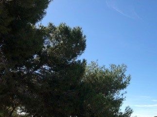 Villamartín golfclub Tee 1 sett från clubhuset