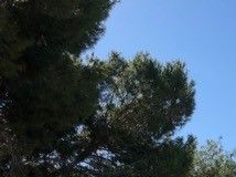 Villamartin Golf Club på promenadavstånd från lägenheten. En fantastisk bana med omväxlande terräng och en mycket bra golfrestaurang.