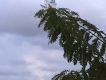 Så härligt att avsluta dagen med ett par boulematcher i solnedgången. Banan ligger endast ett par steg från dörren.